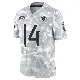 ＃14 Men's Ramel Keyton Arctic Camo Limited Tennessee Titans 2024 Salute to Service Jersey
